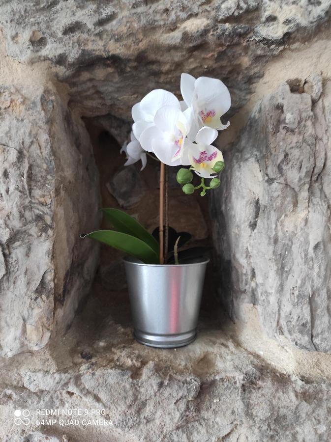 Appartamento La casita del abuelo Galizano Esterno foto